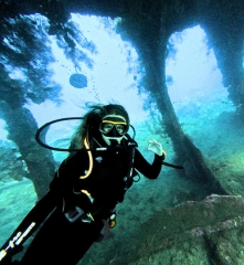 Bali Diving TikTok